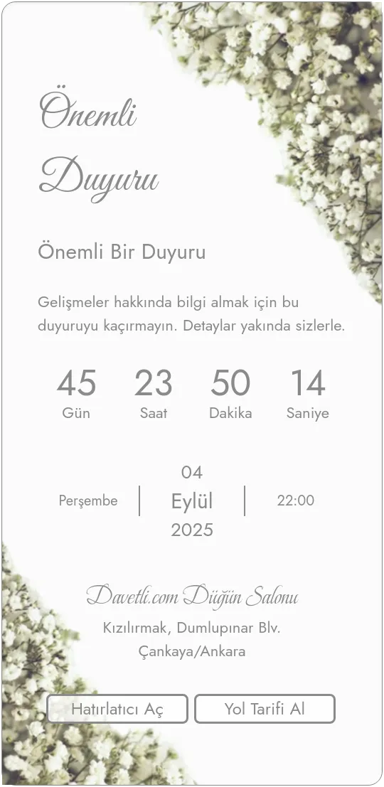 vipu Davetiye Tasarımı