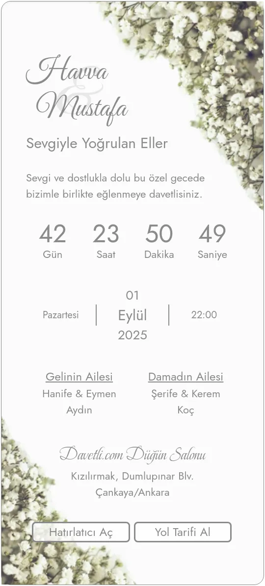 vipu Davetiye Tasarımı